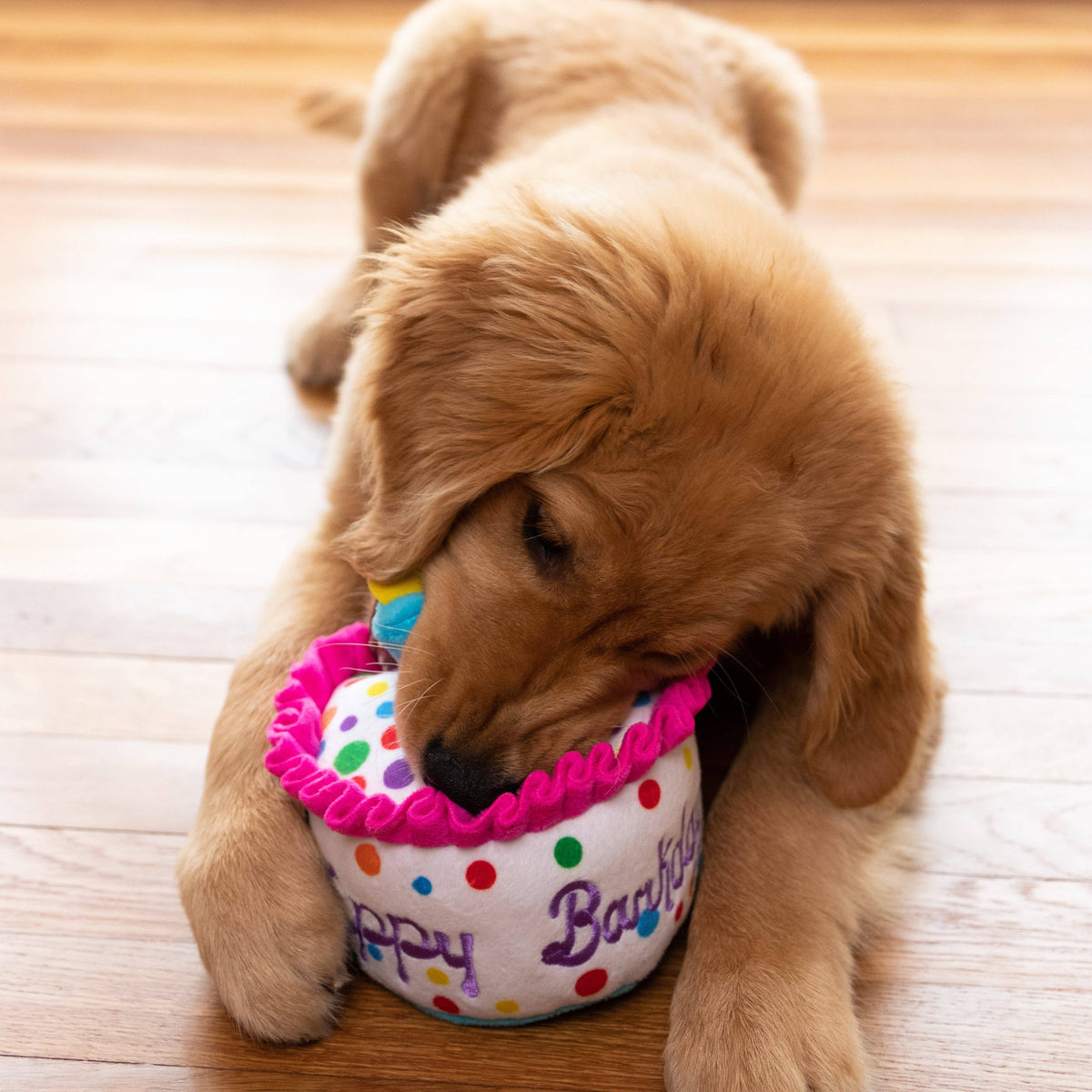 Happy Barkday Cake Dog Toy