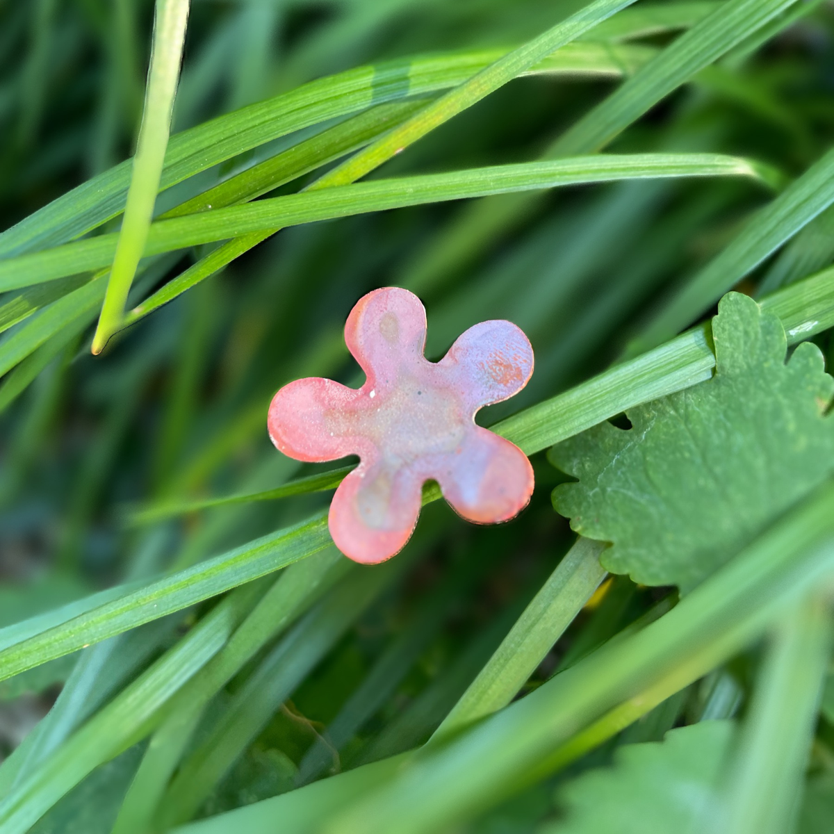 Small Copper Flowers - Bare