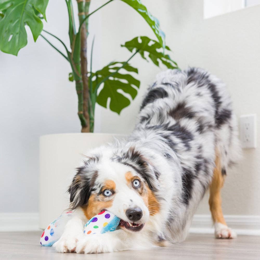 It&#39;s My Barkday Bone Dog Toy (Double Sided)