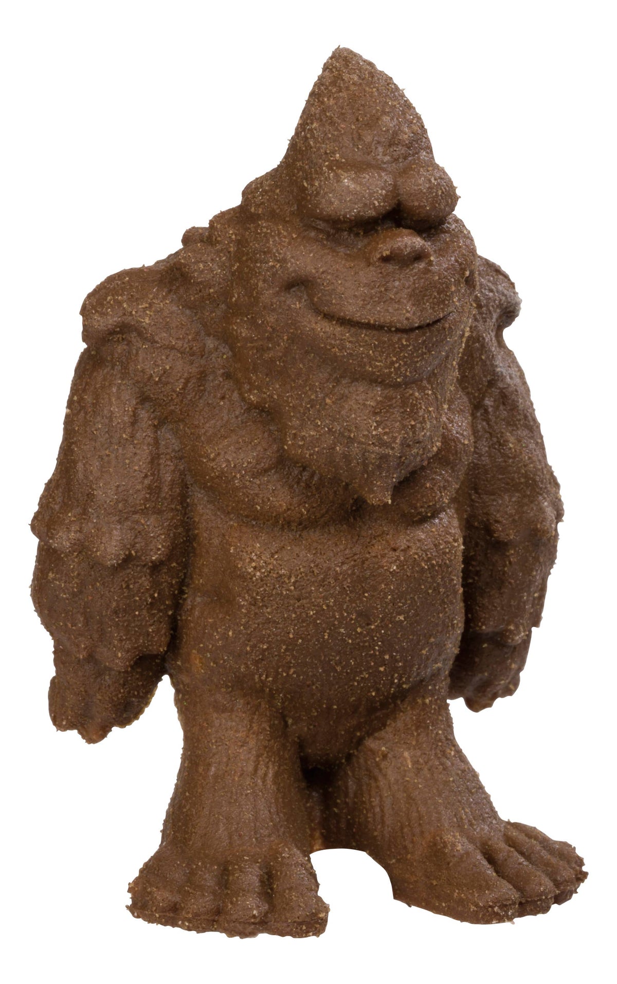 Grow A Bigfoot DIY Experiment