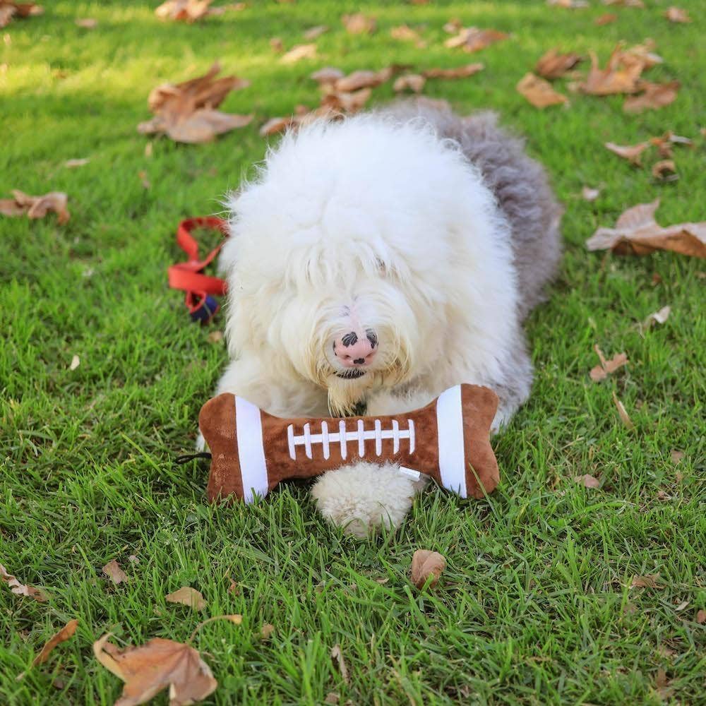 Football Bone Dog Toy