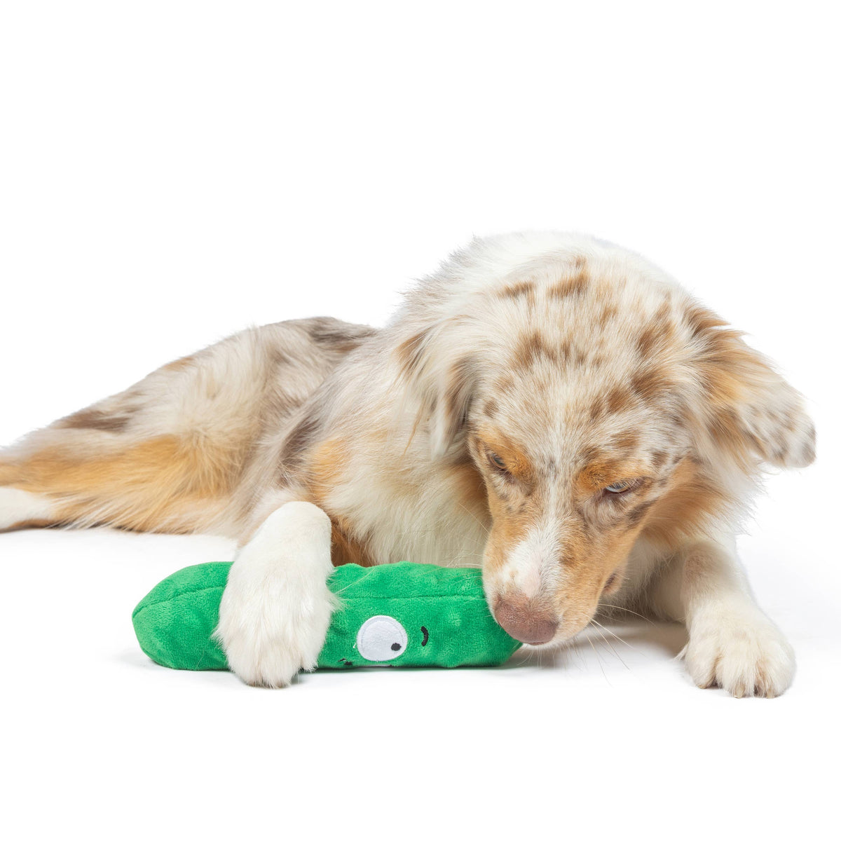 Fetchies® Dell Pickle Dog Toy