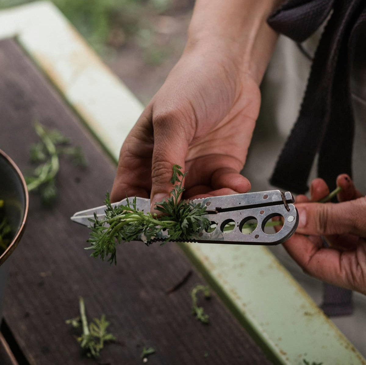 Herb Harvest + Strip Tool