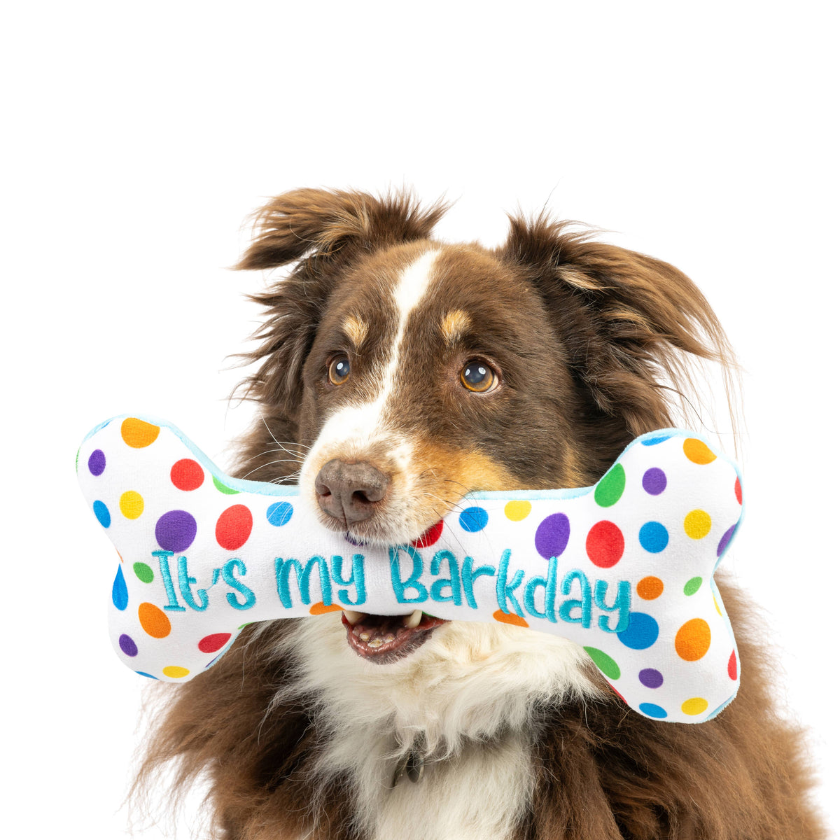 It&#39;s My Barkday Bone Dog Toy (Double Sided)