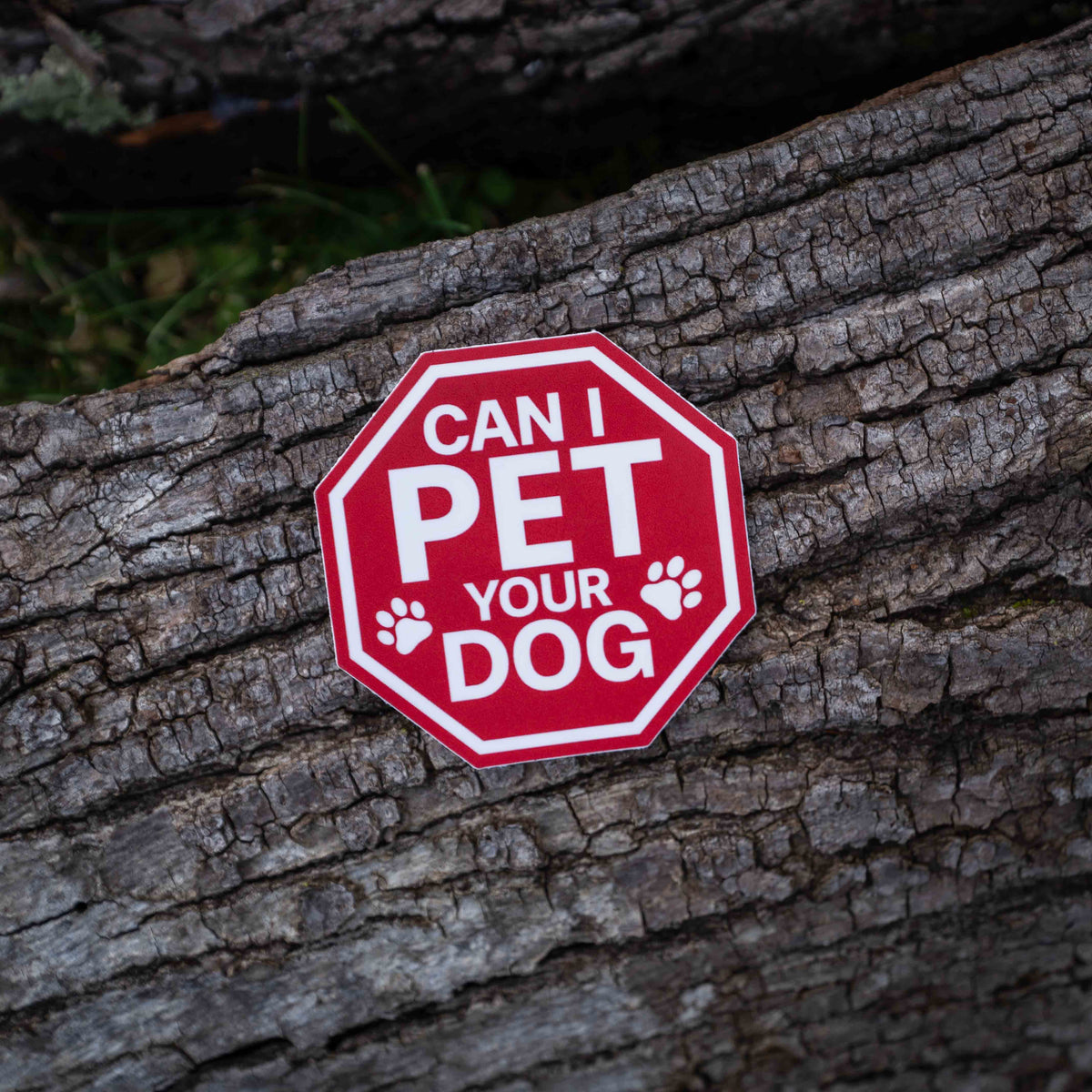 Stop Can I Pet Your Dog Sticker