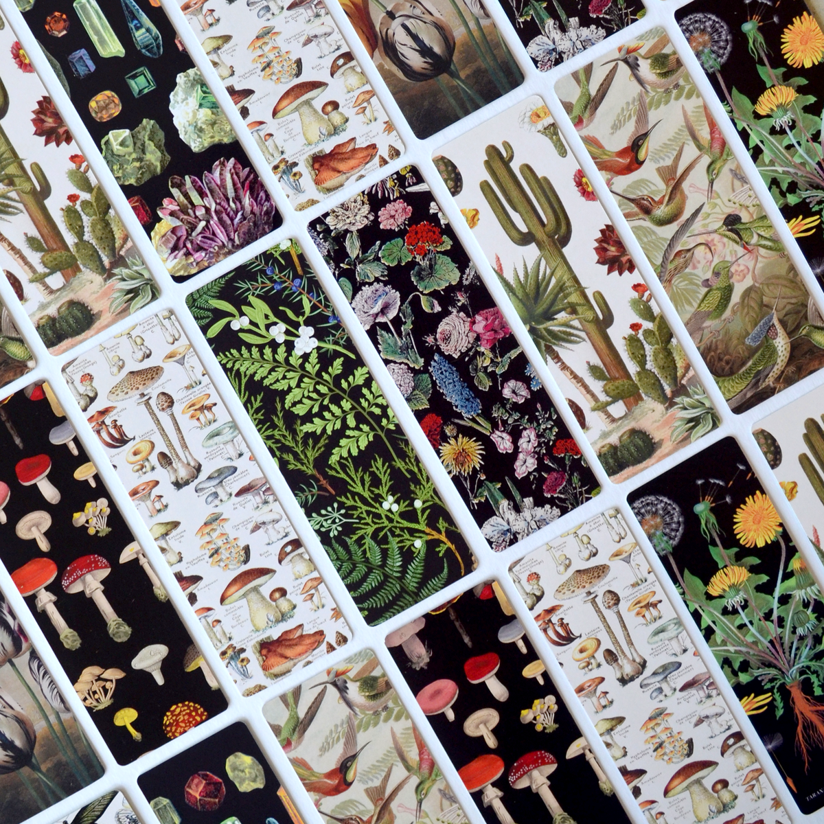 Botanical Tulips Double-Sided Bookmark with Vintage Marbling