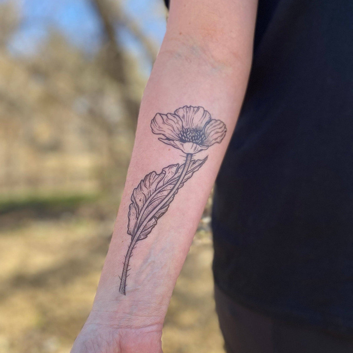 Wild Poppy Flower Temporary Tattoo