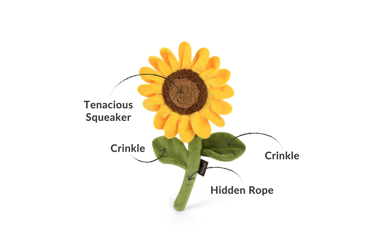 Sassy Sunflower Pet Toy