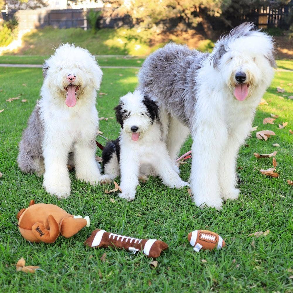 Football Bone Dog Toy