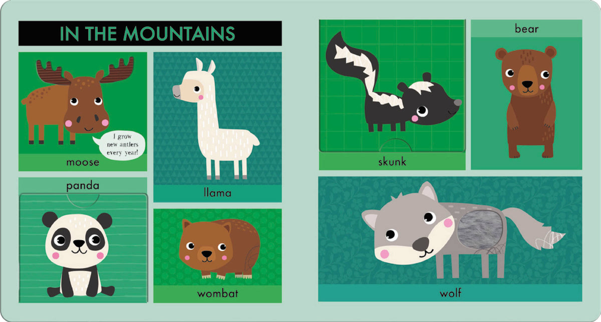 Lift Touch and Learn First Words: Animals