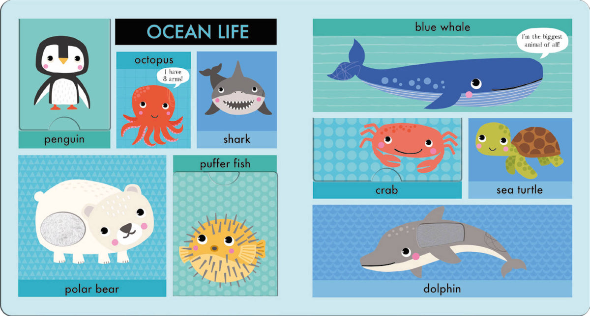 Lift Touch and Learn First Words: Animals