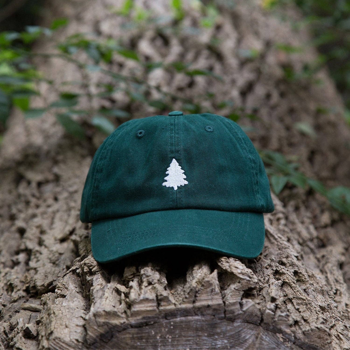 White Fir Organic Hat