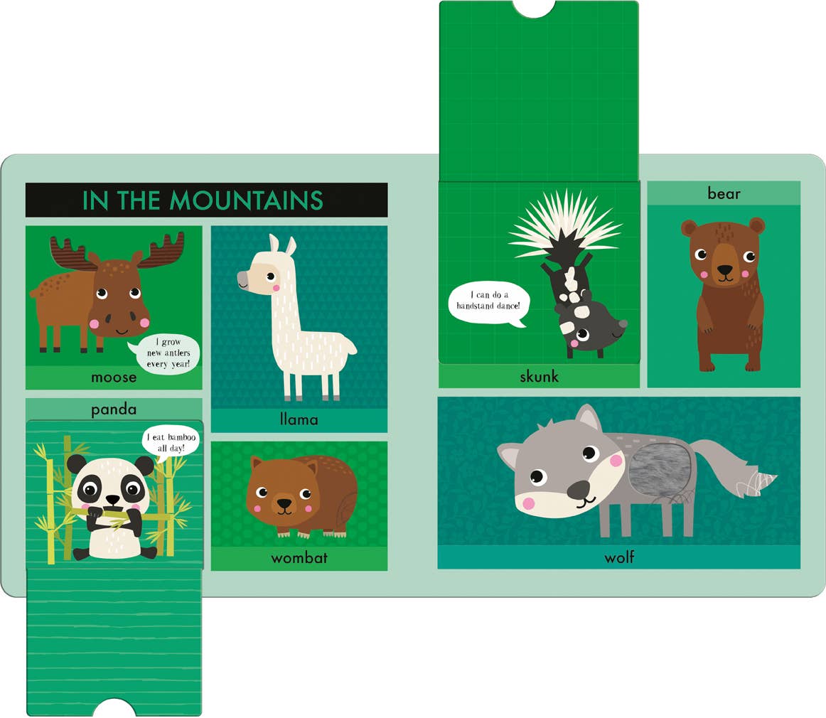 Lift Touch and Learn First Words: Animals