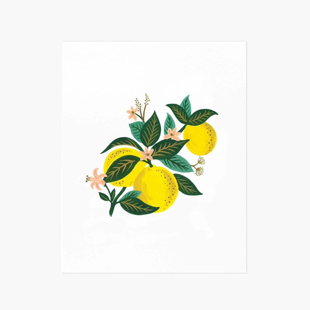 Lemon Blossom Art Print