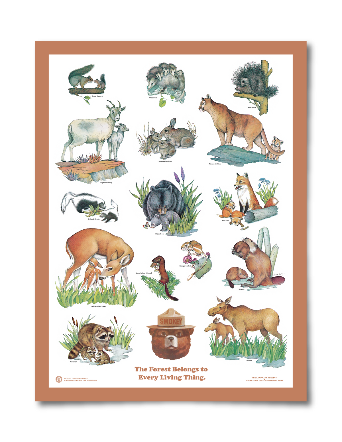 Baby Animals Educational Poster