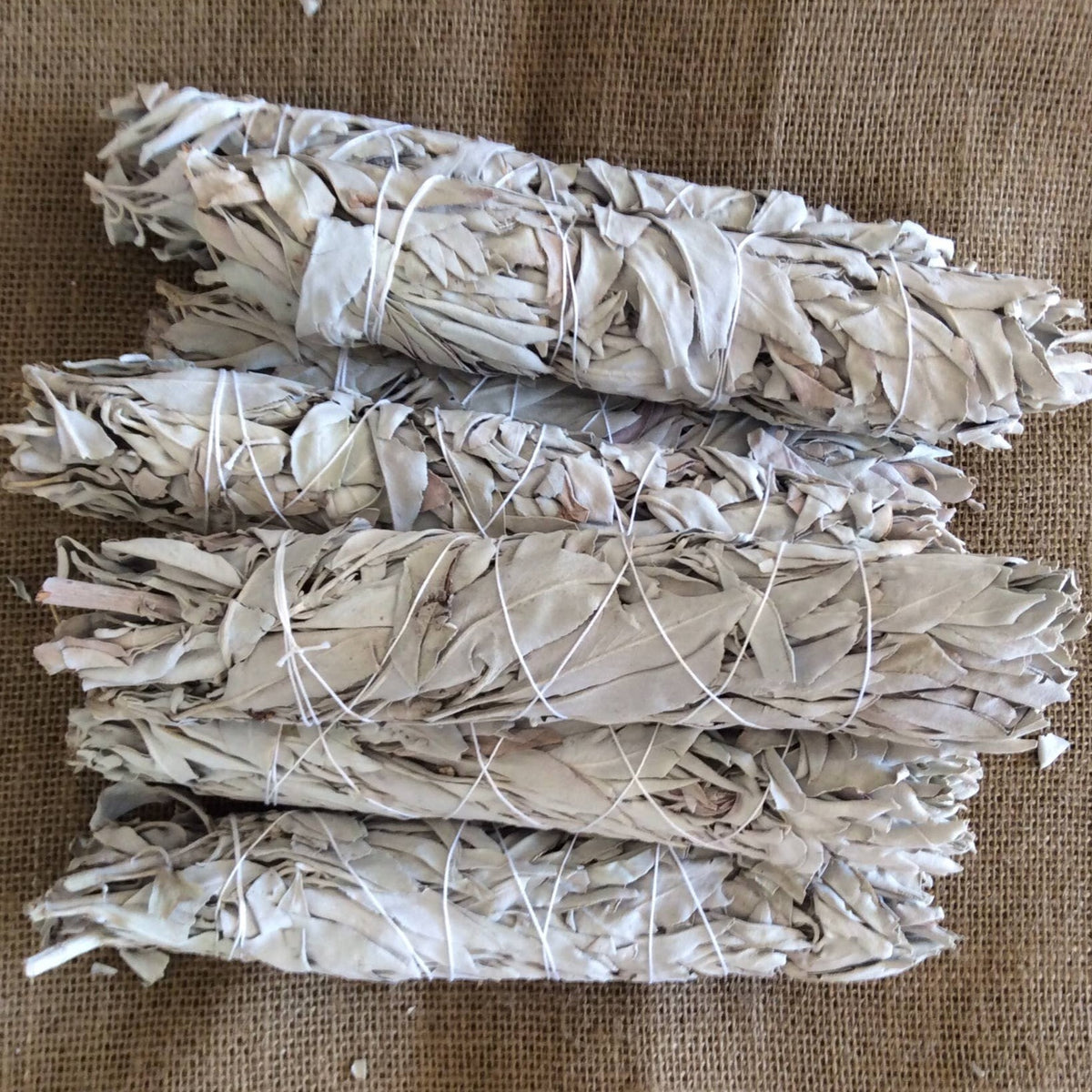 8&quot; White Sage Wands